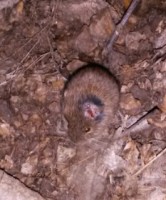 /album/fotogalerie-natur/a2016-10-13-18-52-25-jpg/